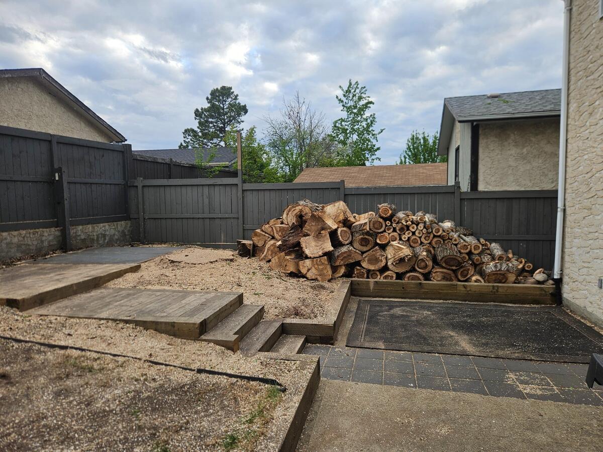 After: Tree completely pruned with debris neatly stacked